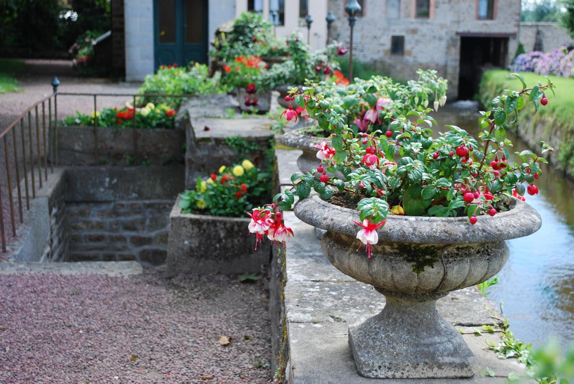 Logis Auberge De La Selune Hotel Ducey-Les Cheris Exterior photo